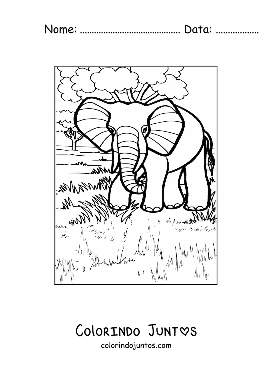 Desenho para colorir de um elefante posando em seu habitat natural