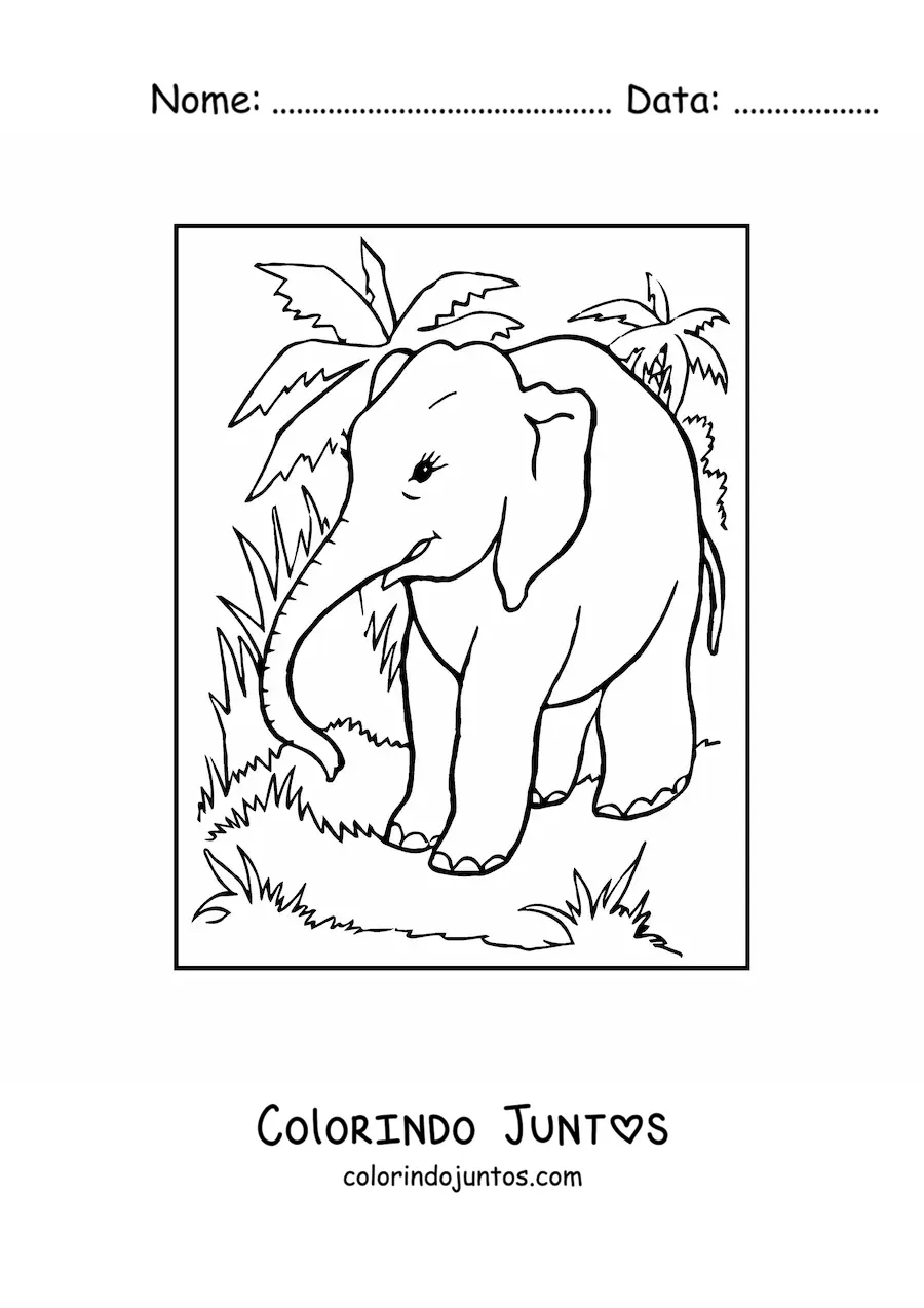 Desenho para colorir de um elefante perambulando na selva