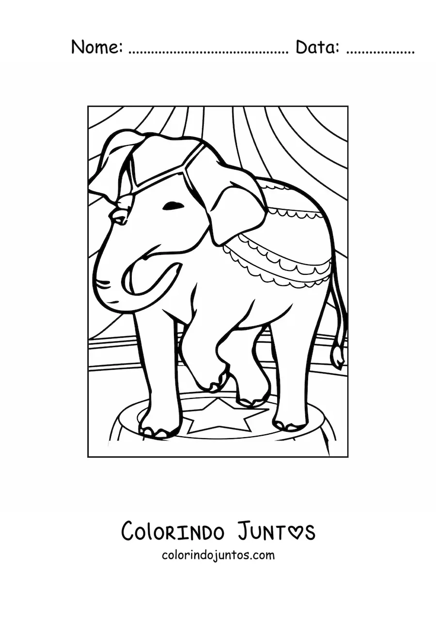 Desenho para colorir de um elefante no circo enfeitado e em pe sobre um pedestal