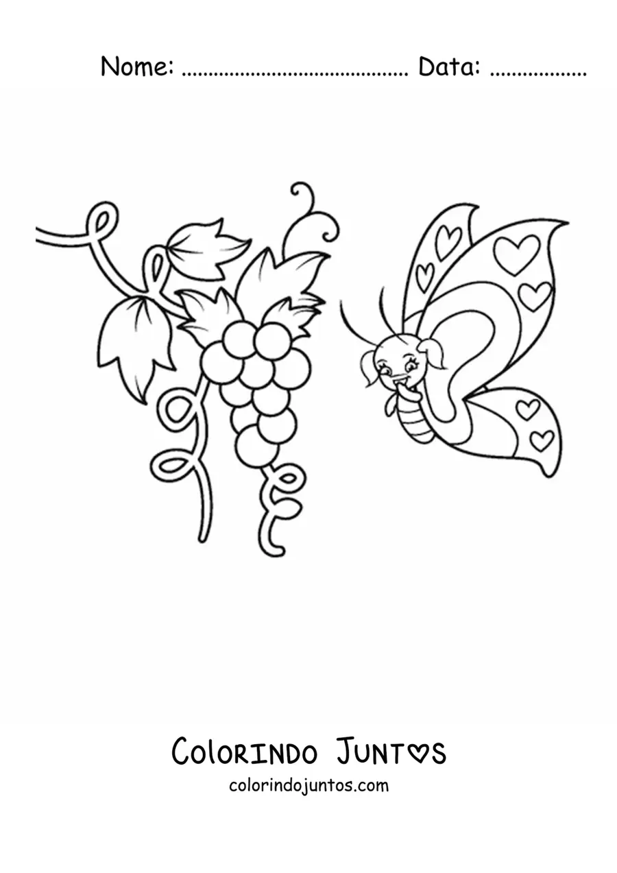 Desenho para colorir de uma borboleta animada voando perto de umas uvas