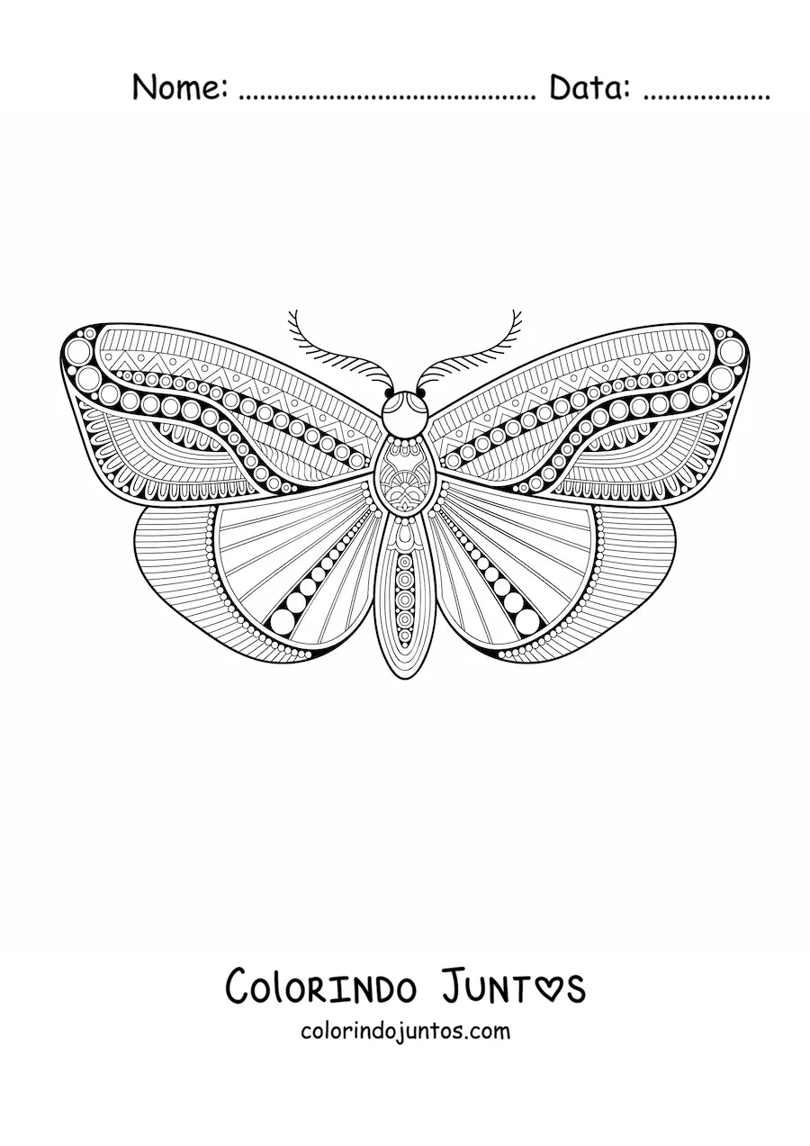 Desenho para colorir de uma mandala de borboleta
