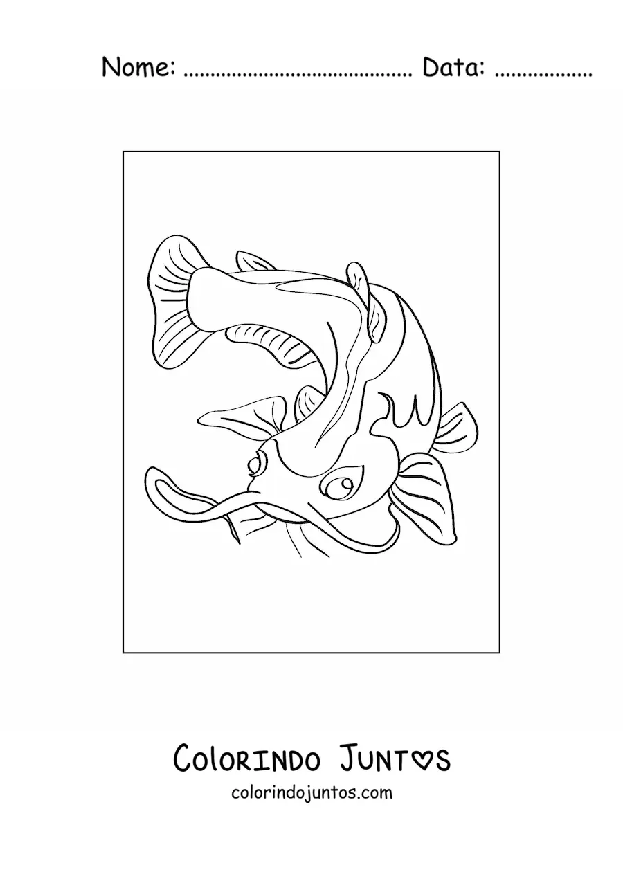 Desenho para colorir de um bagre nadando