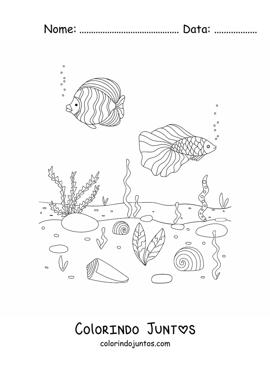 Desenho para colorir de dois peixes no fundo do mar com corais e algas marinhas