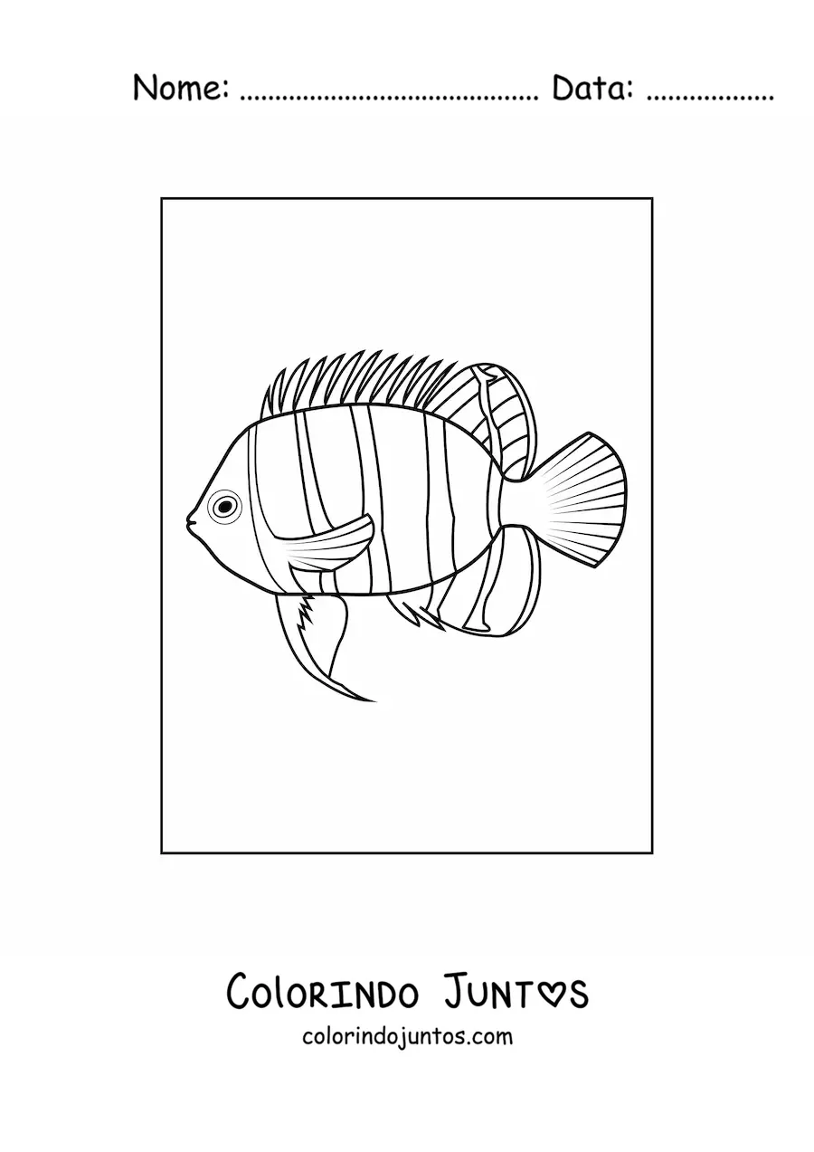 Desenho para colorir de um peixe com linhas verticais no corpo