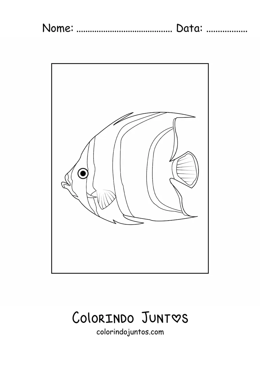 Desenho para colorir de um peixe-anjo realista