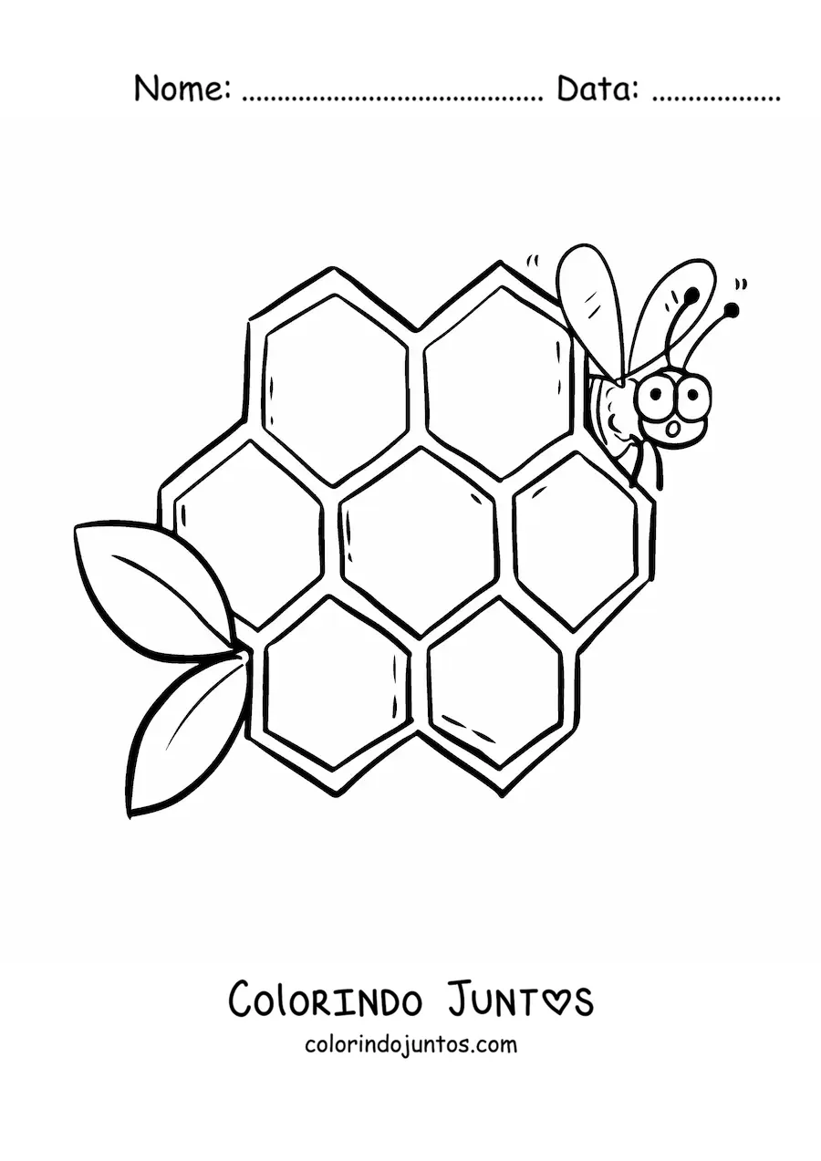 Desenho para colorir de uma abelha animada ao lado das celulas de um favo de mel