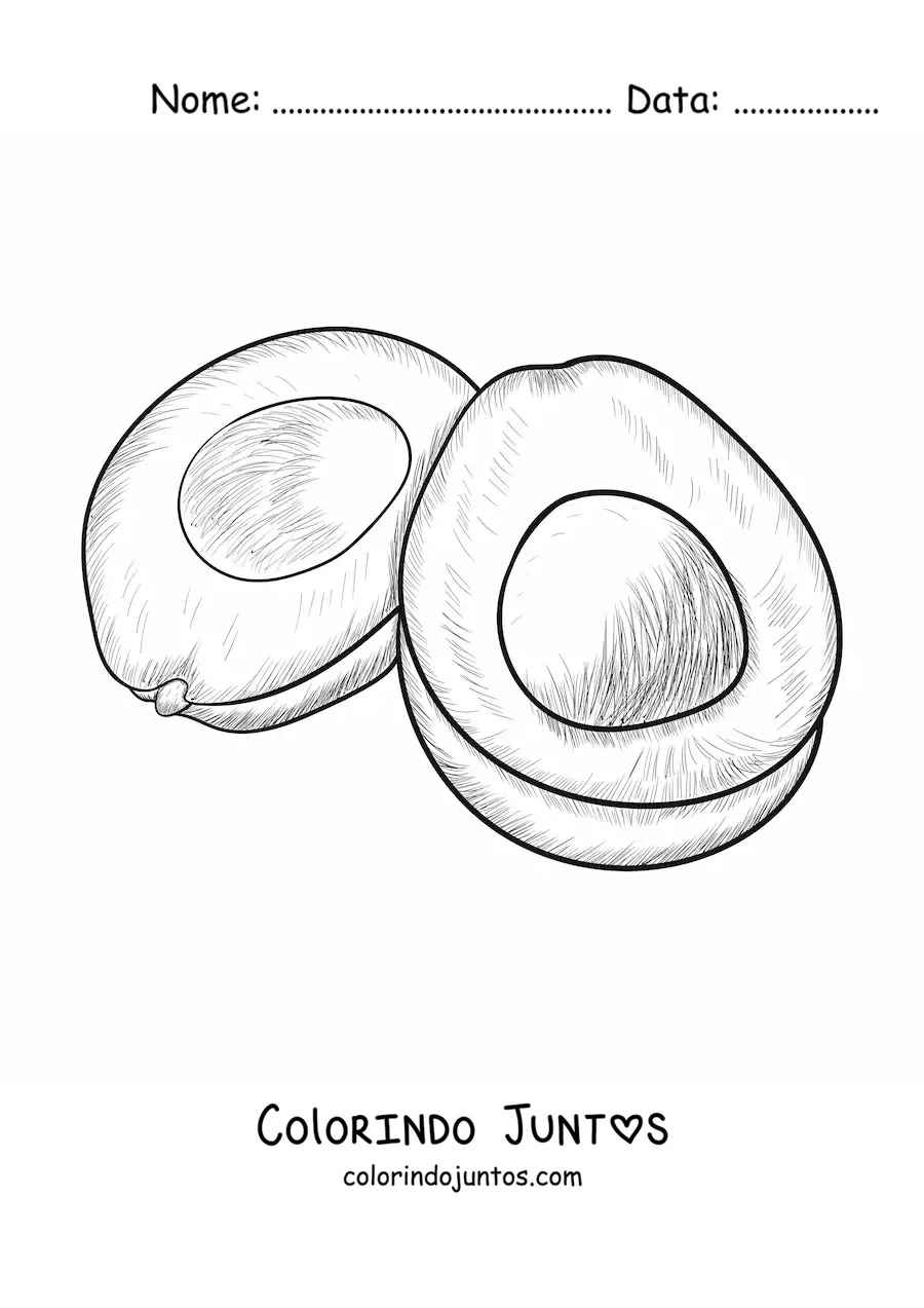 Desenho para colorir de um abacate desenhado em estilo realista