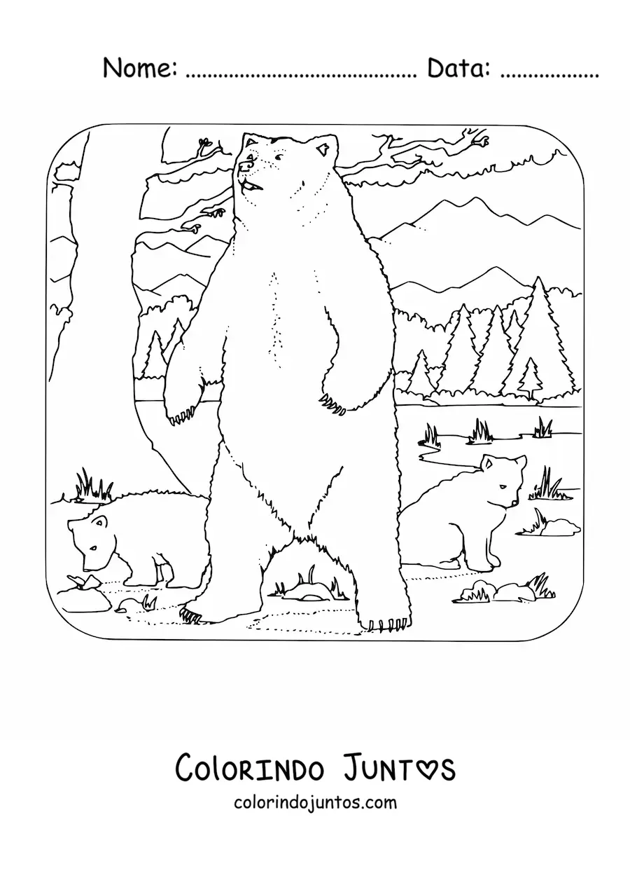 Desenho para colorir de tres ursos grizzly selvagens na floresta