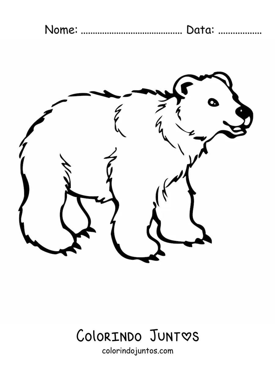 Desenho para colorir de um urso animado sorridente em quatro patas