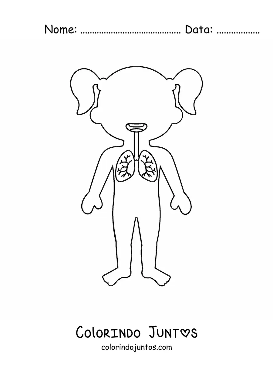 Desenho para colorir da localizacao dos pulmoes na silhueta de uma menina