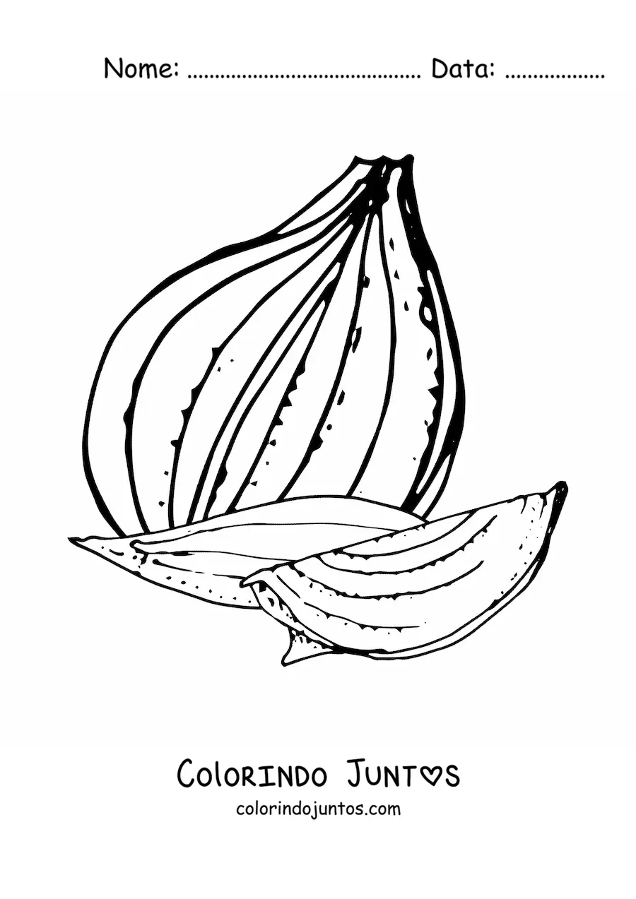Desenho para colorir de pedacos de cebola