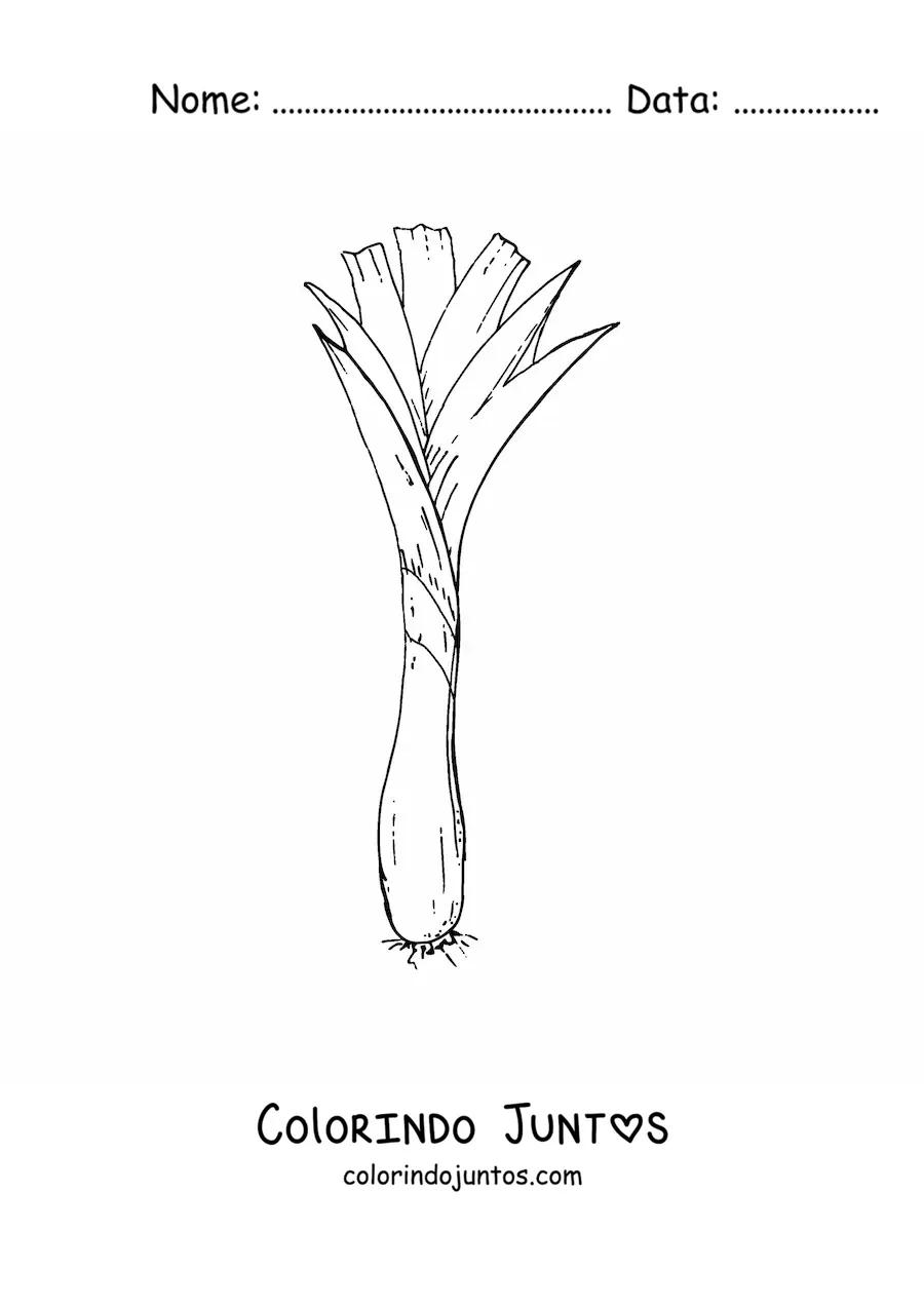 Desenho para colorir de uma cebola comprida ou cebolinha