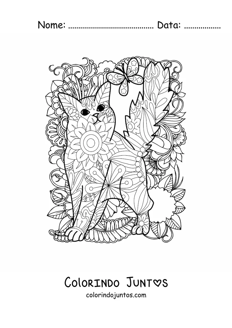 Desenho para colorir de uma mandala de gato