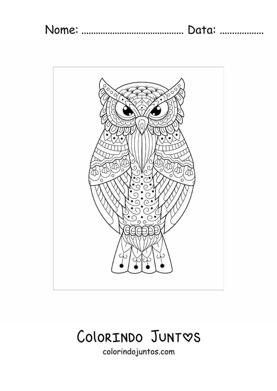 Desenho para colorir de uma mandala de coruja dificil