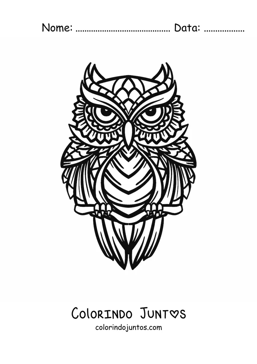 Desenho para colorir de uma mandala de coruja geometrica
