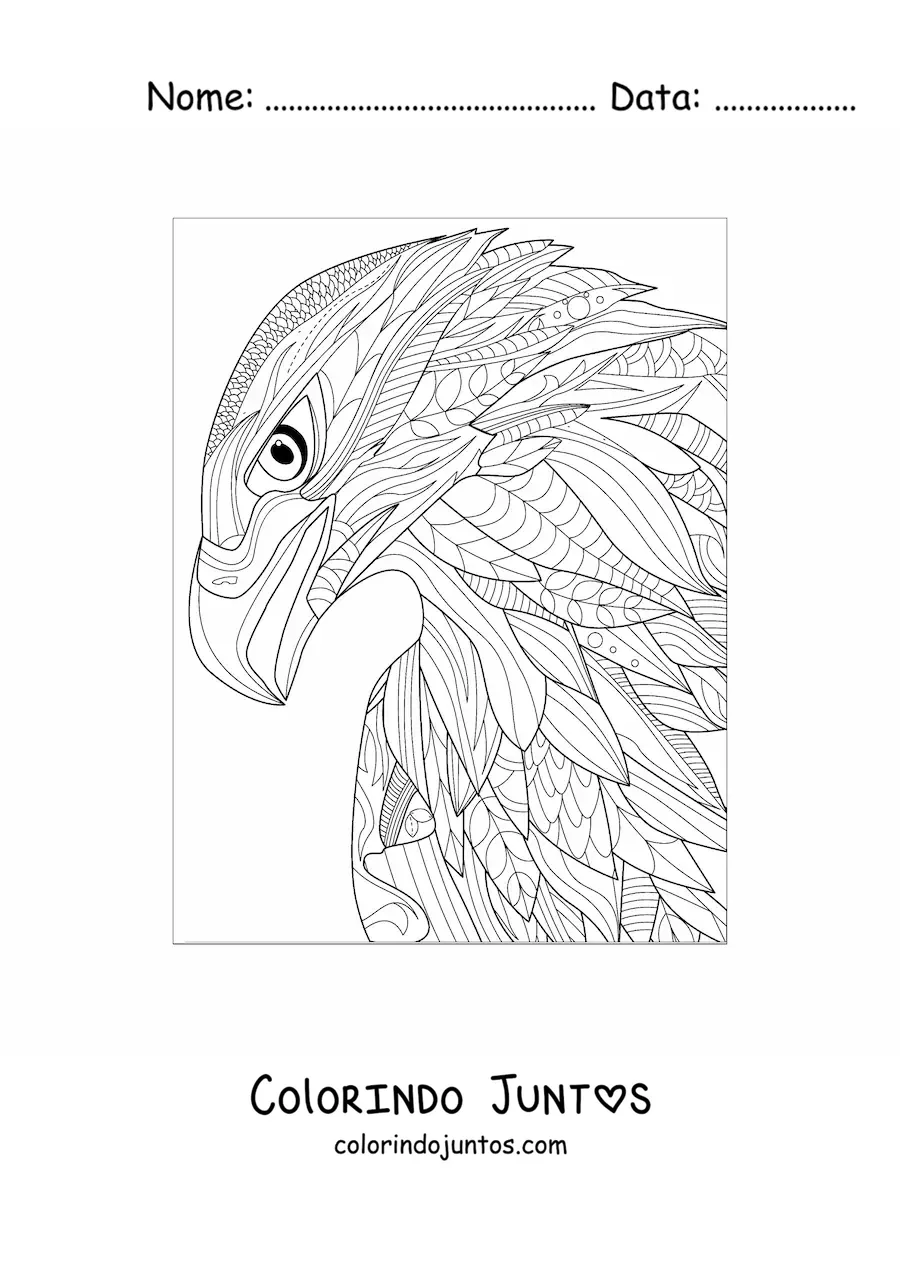 Desenho para colorir de uma mandala de falcao
