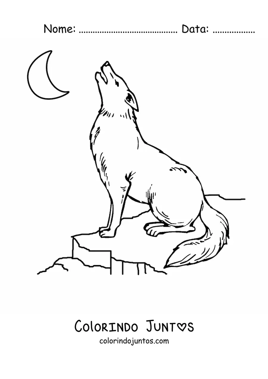 Desenho para colorir de um lobo uivando para a lua sentado sobre uma rocha