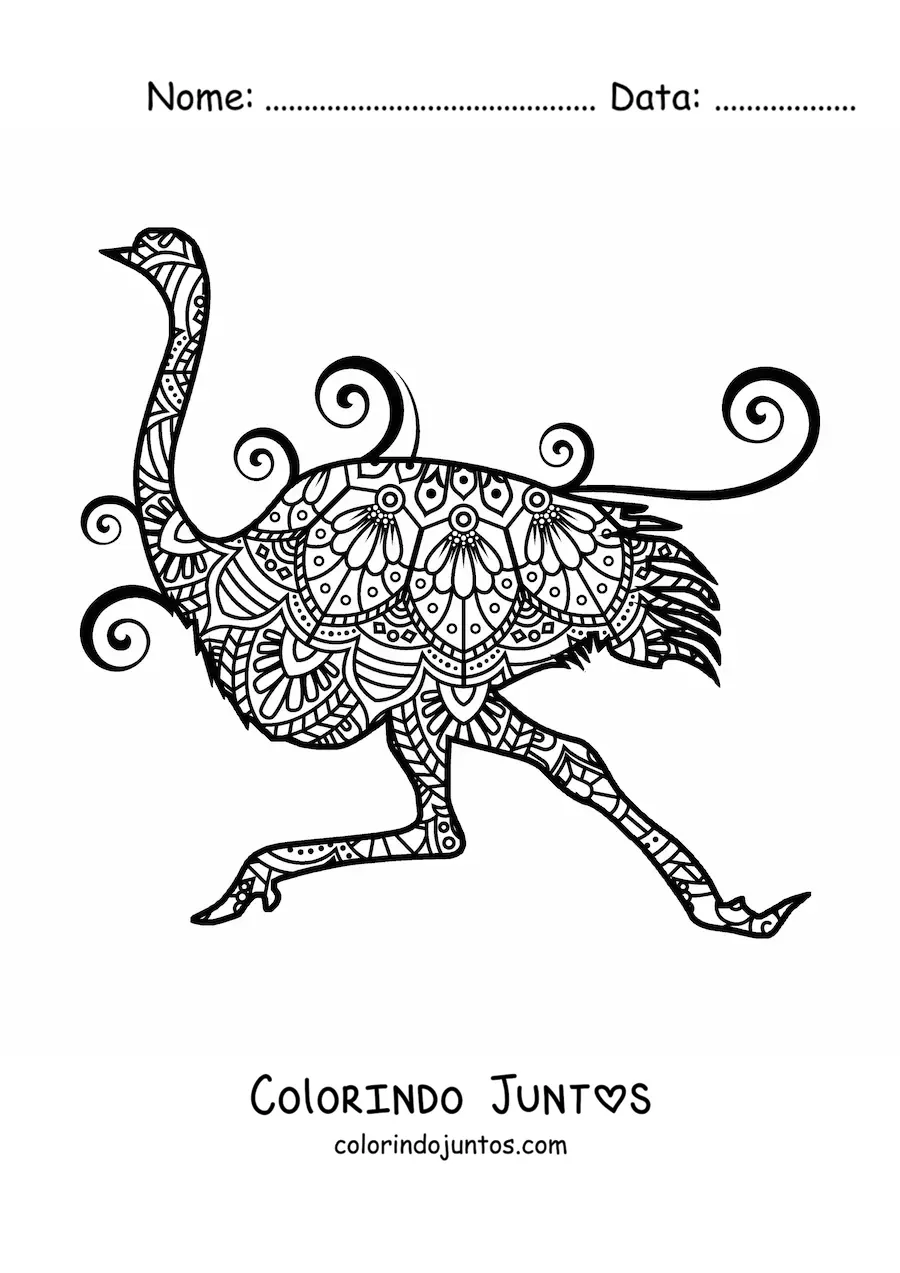 Desenho para colorir de uma mandala de avestruz