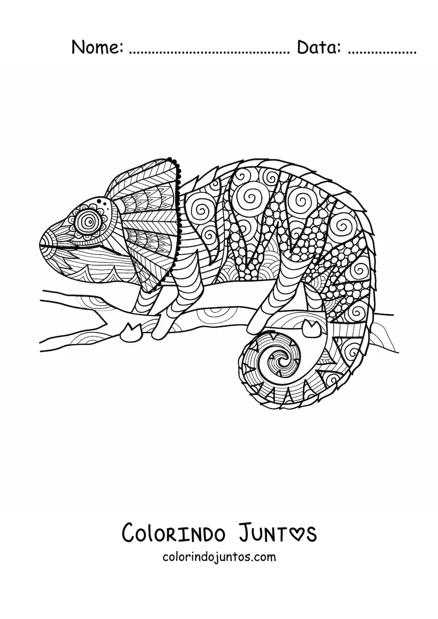 Desenho para colorir de uma mandala de camaleao