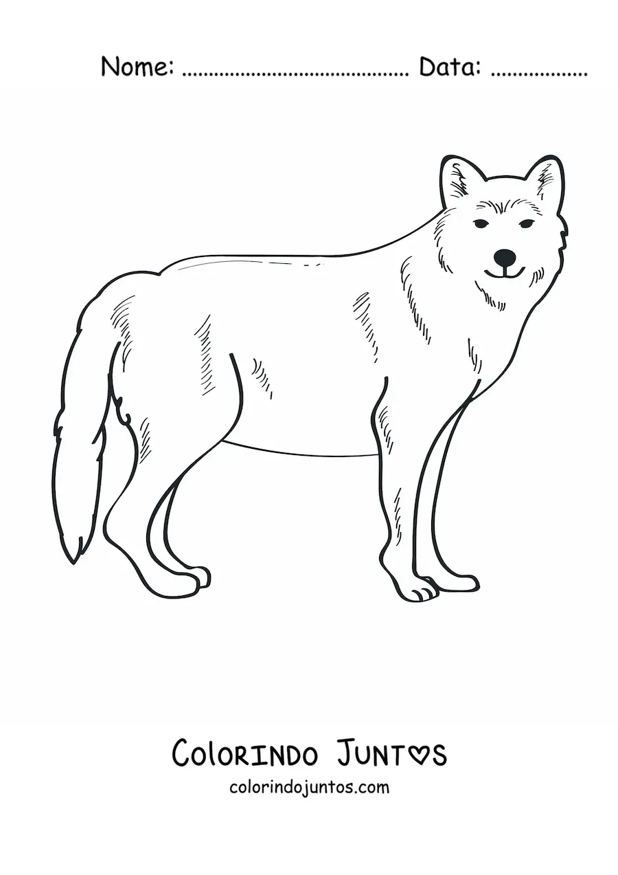 Desenho para colorir de um lobo selvagem