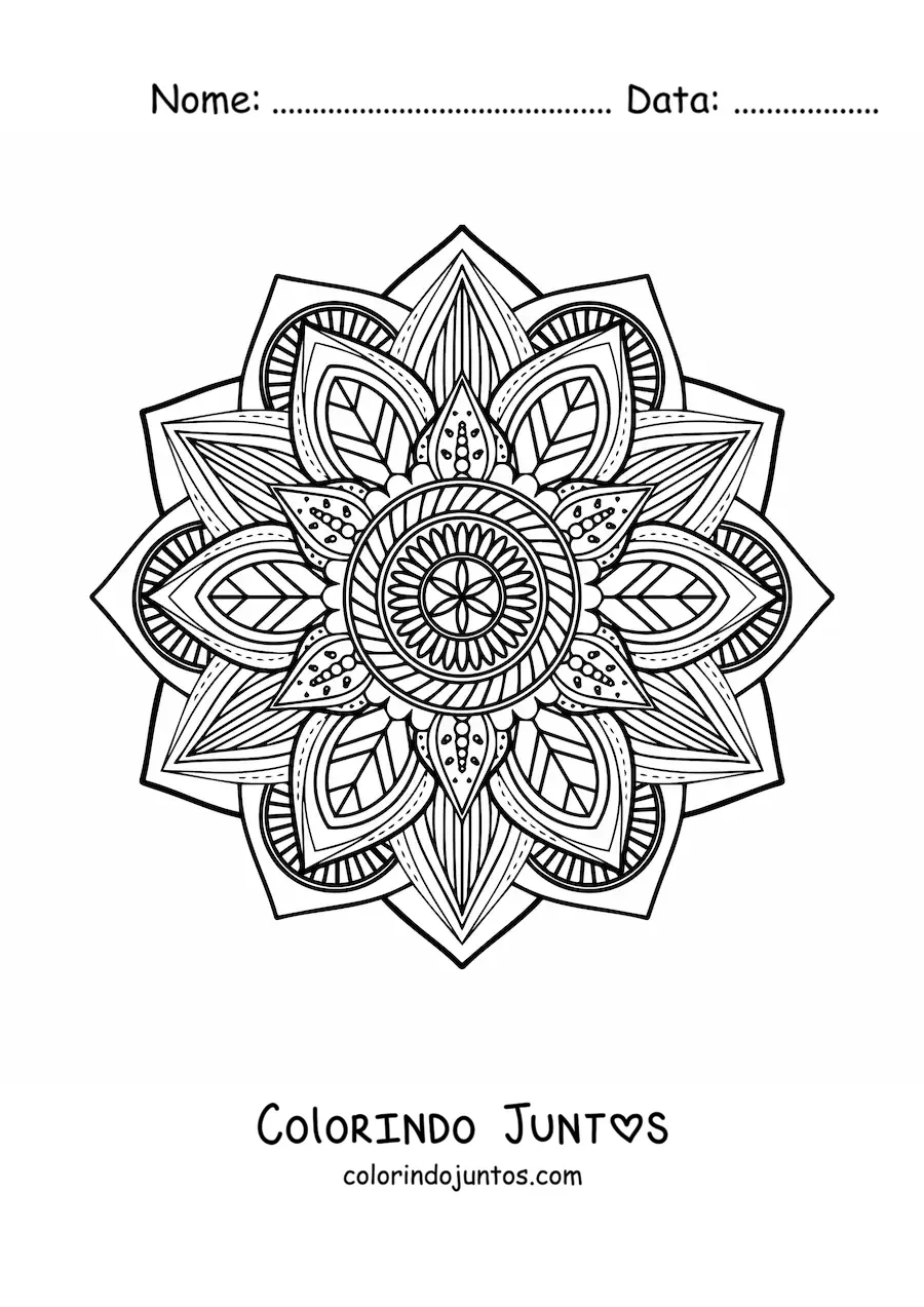 Desenho para colorir de uma mandala dificil da natureza