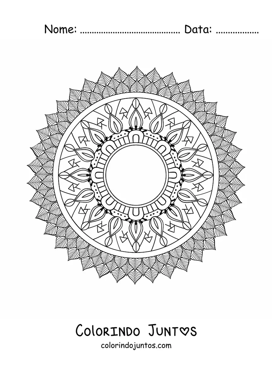 Desenho para colorir de uma mandala dificil da natureza