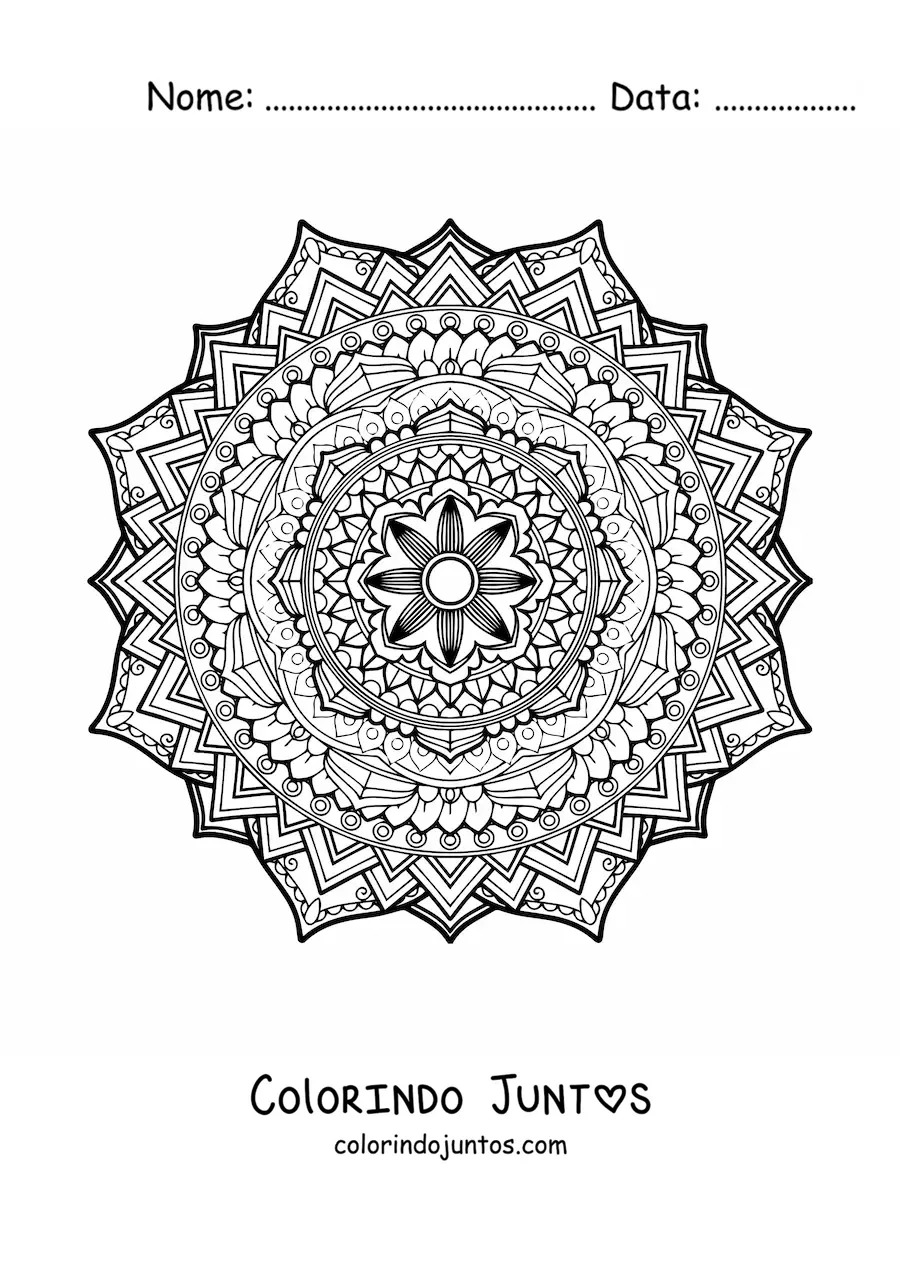 Desenho para colorir de uma mandala floral difícil