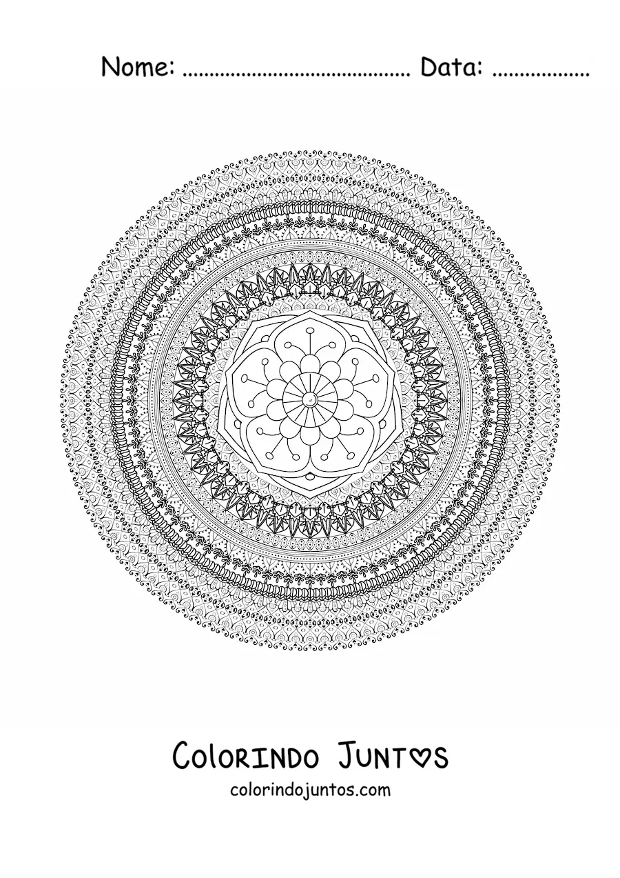Desenho para colorir de uma mandala circular difícil