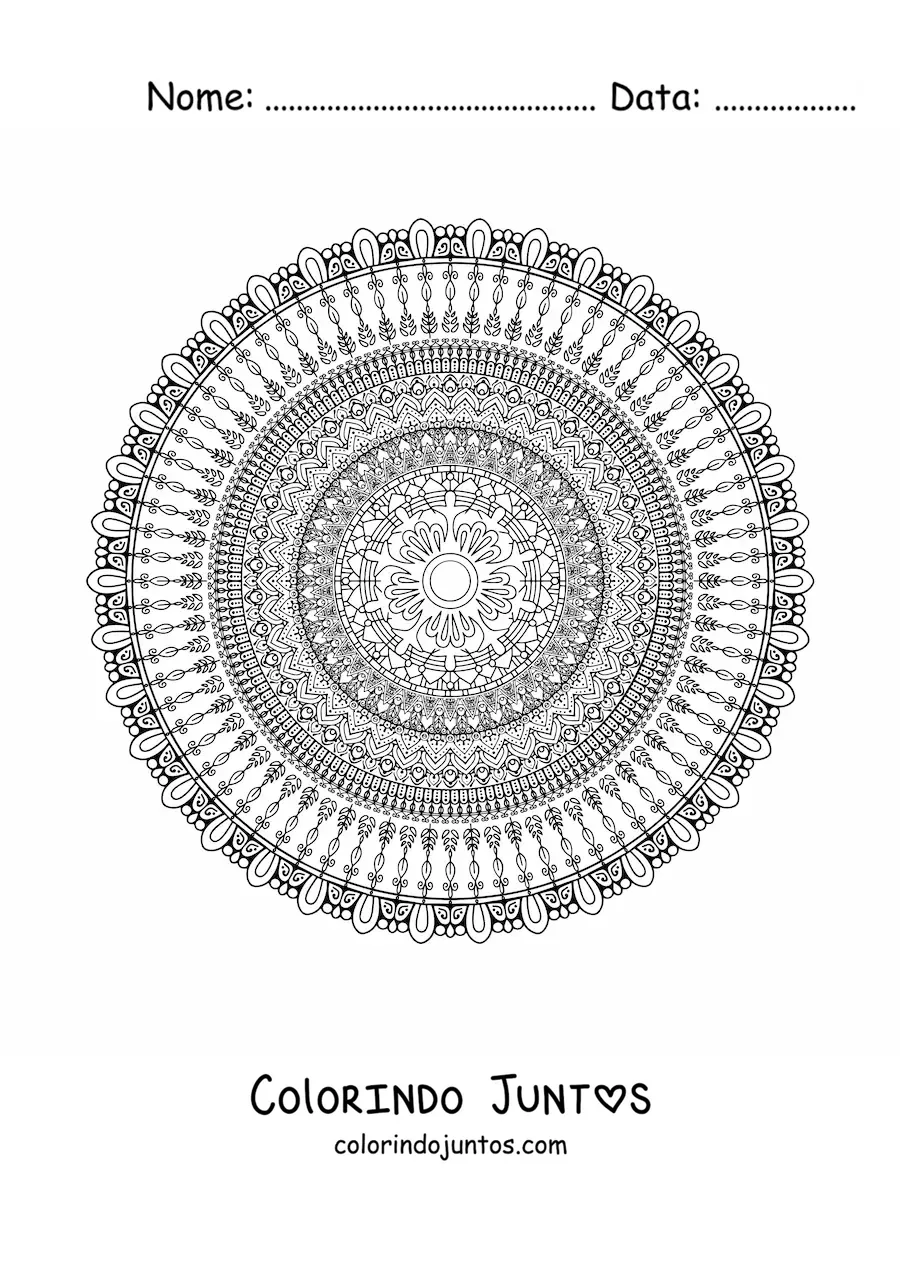 Desenho para colorir de uma mandala circular difícil