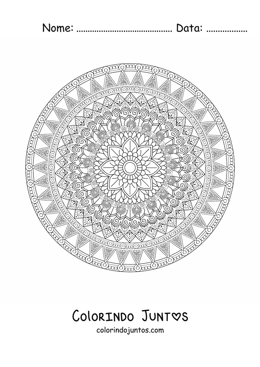 Desenho para colorir de uma mandala circular difícil