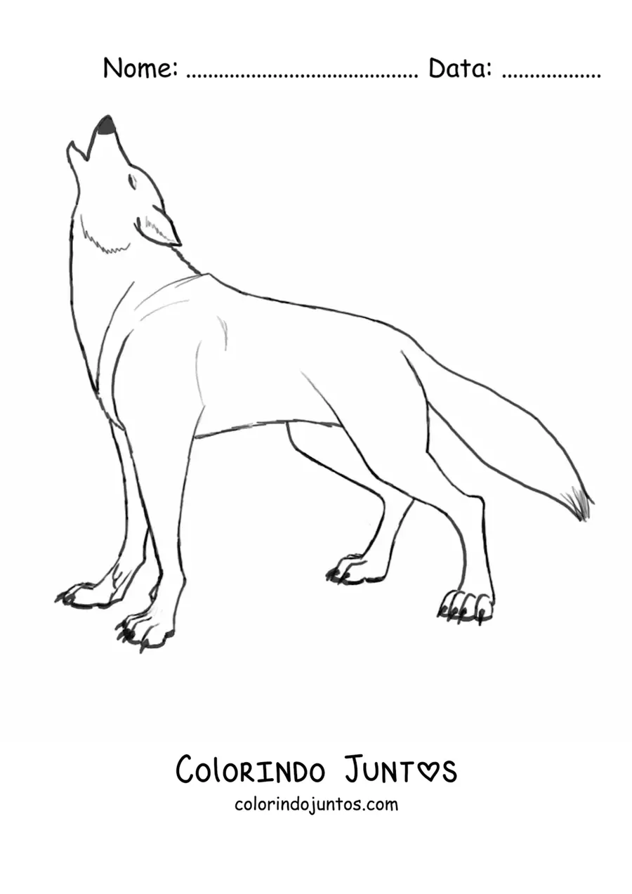 Desenho para colorir de um lobo selvagem uivando