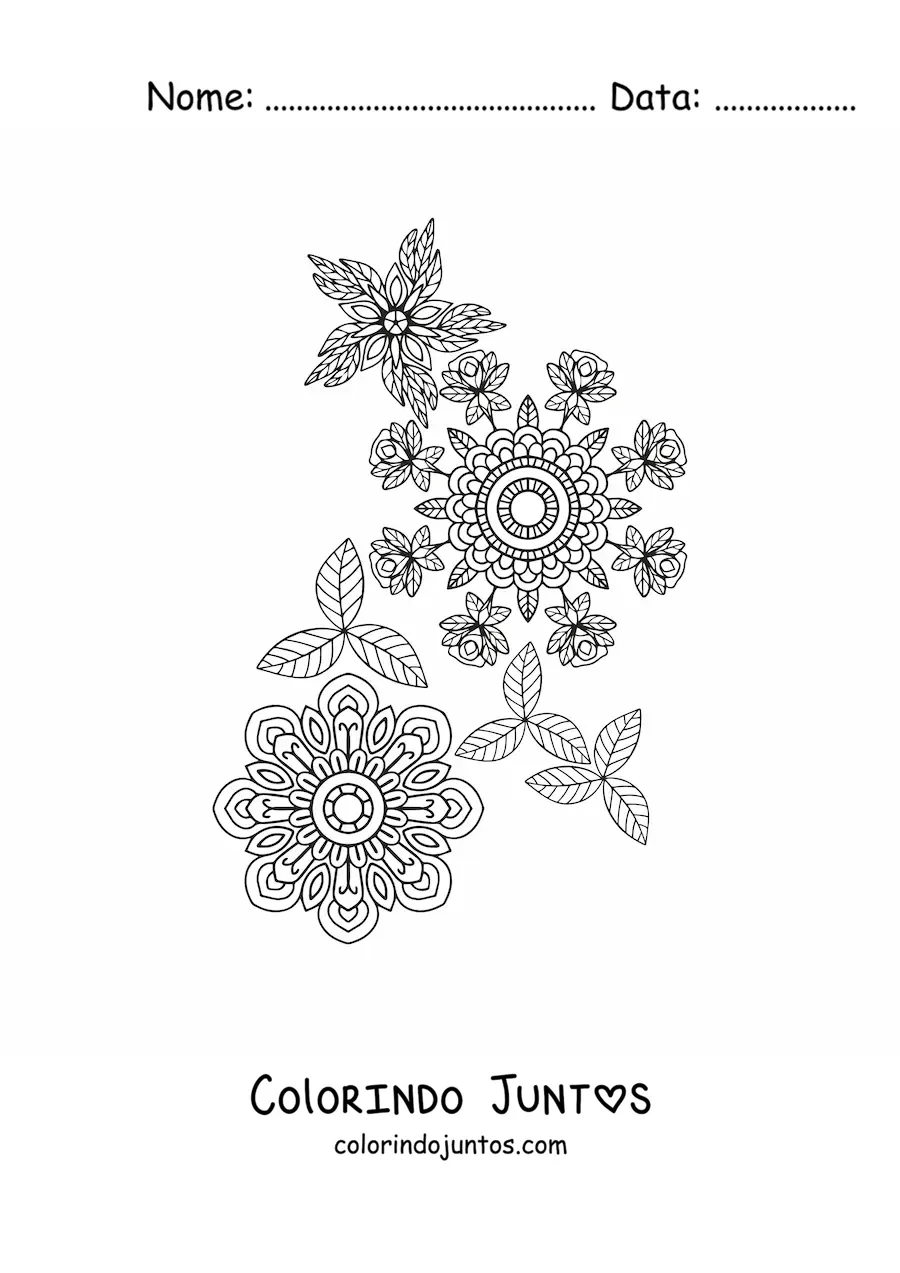 Desenho para colorir de flores mandala