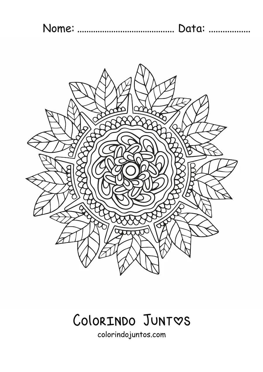 Desenho para colorir de uma mandala floral