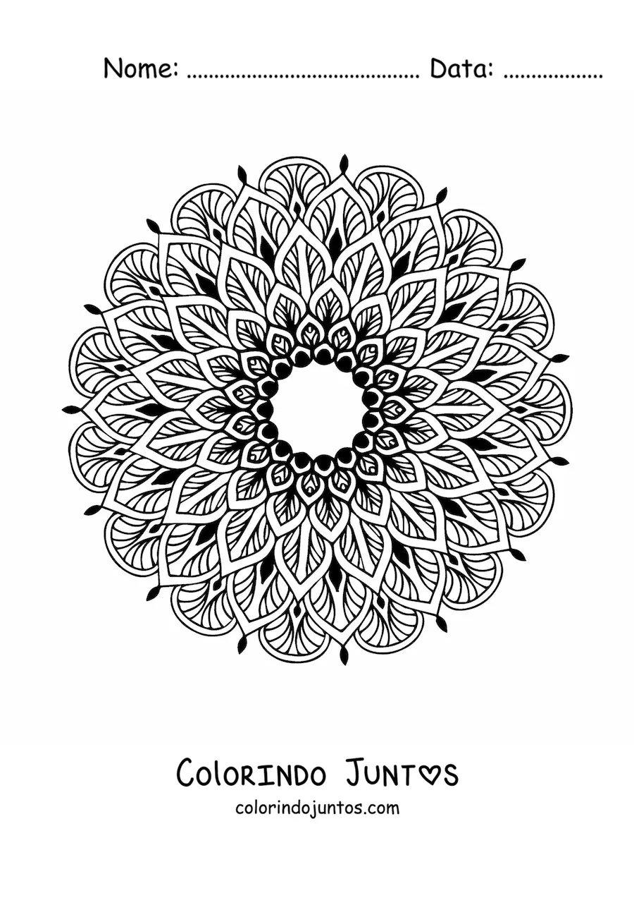 Desenho para colorir de uma mandala floral