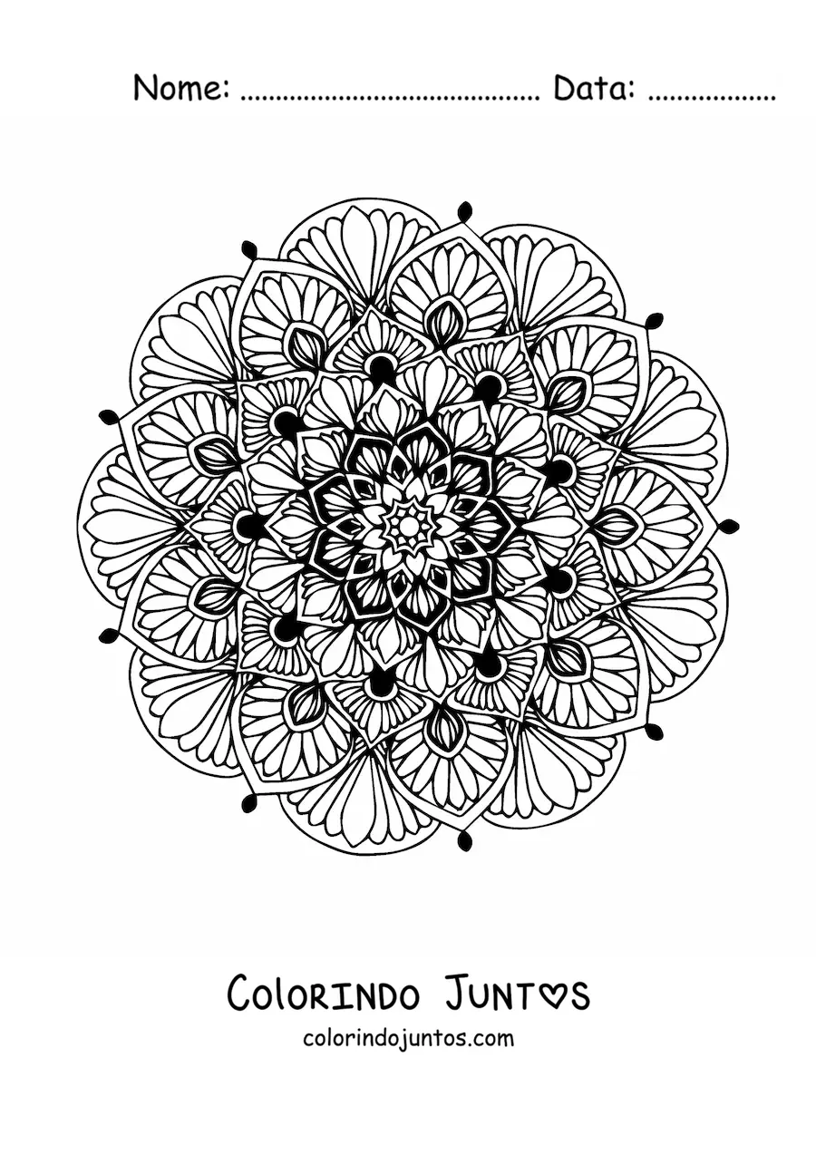 Desenho para colorir de uma mandala floral