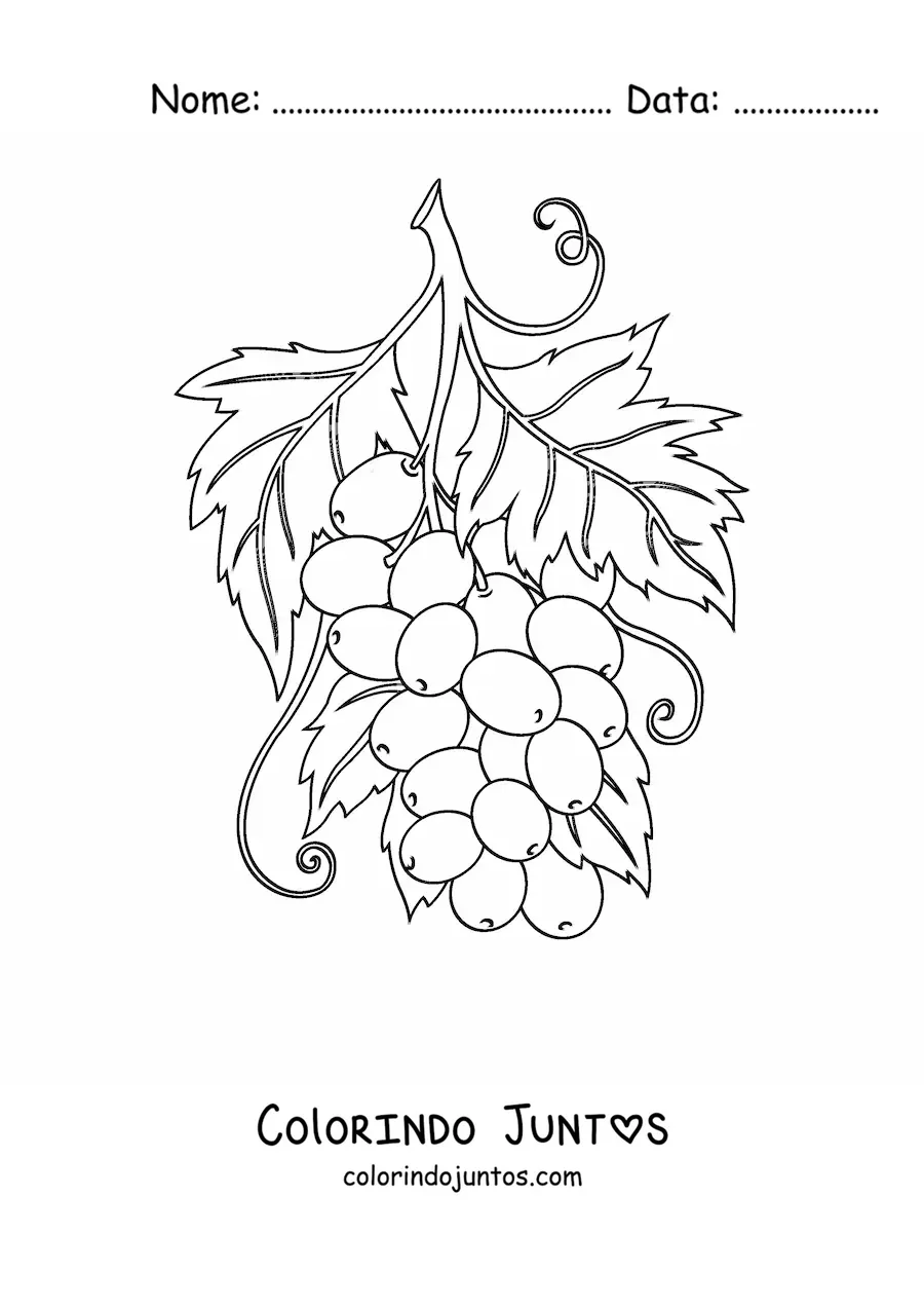 Desenho para colorir de um cacho de uvas com folhas