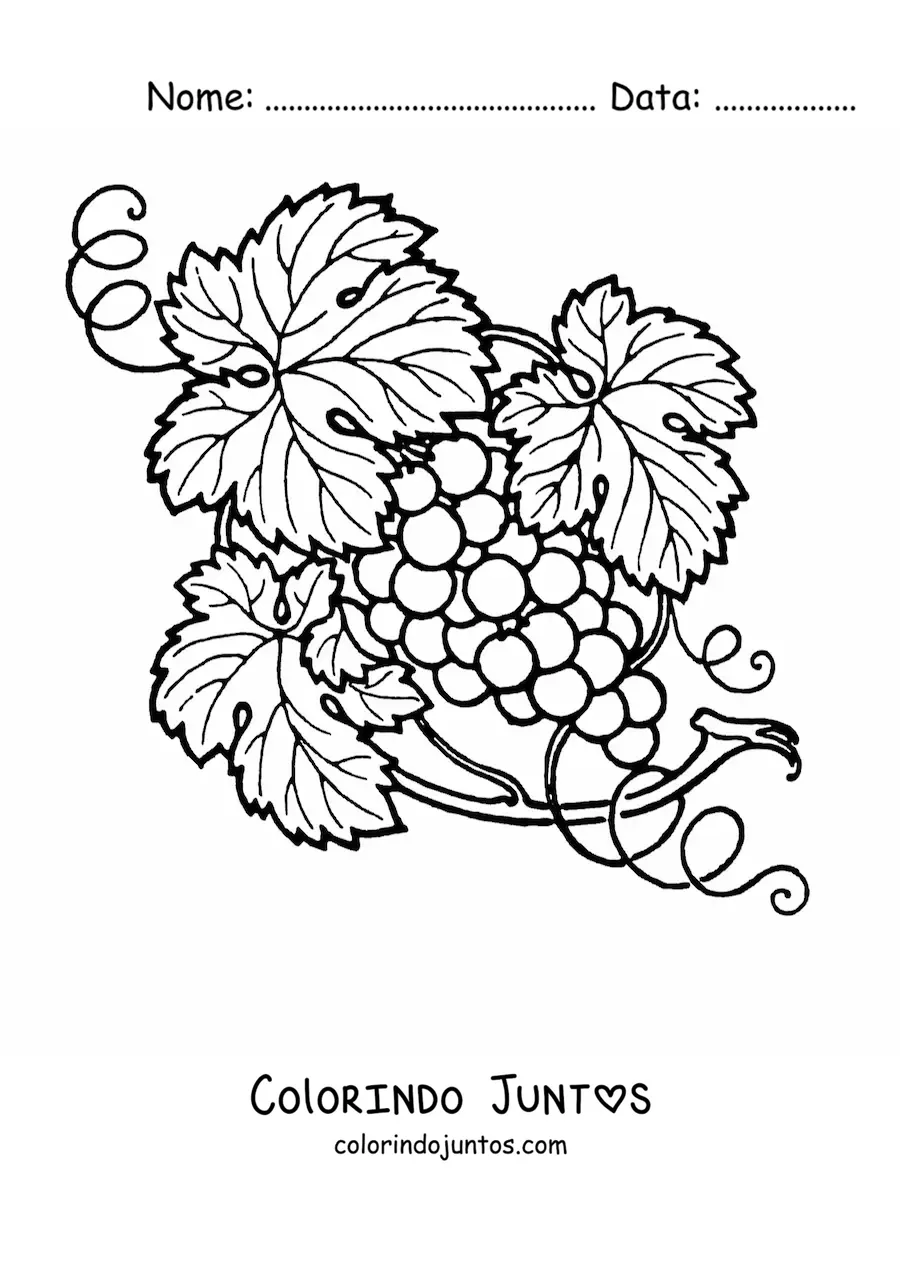 Desenho para colorir de umas uvas na videira
