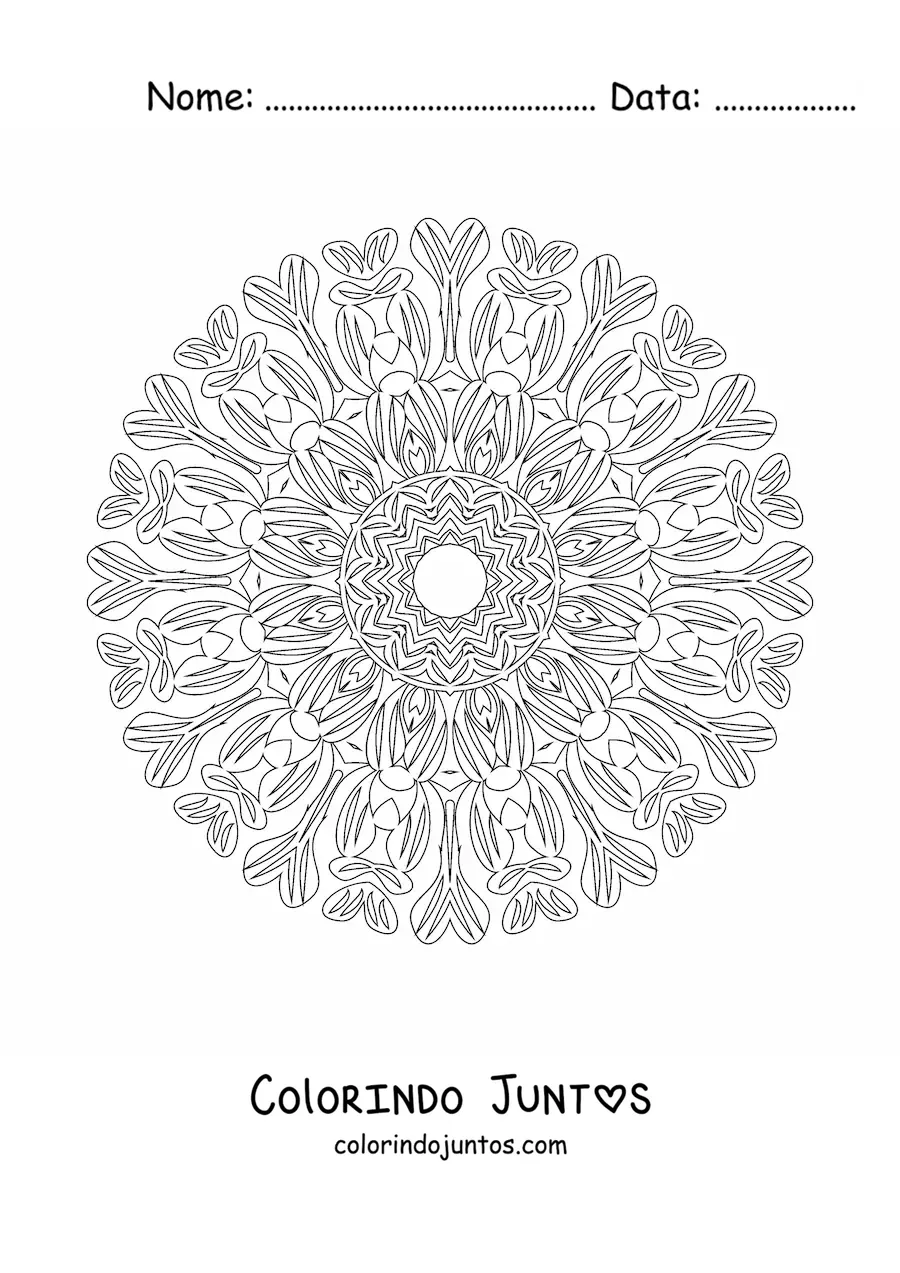 Desenho para colorir de mandala para adultos