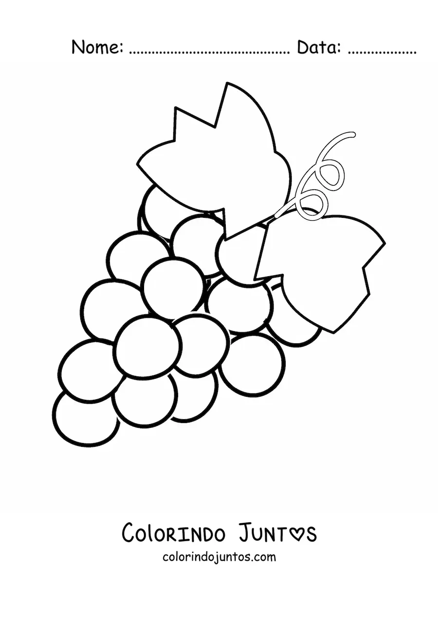 Desenho para colorir de um cacho de uvas com duas folhas