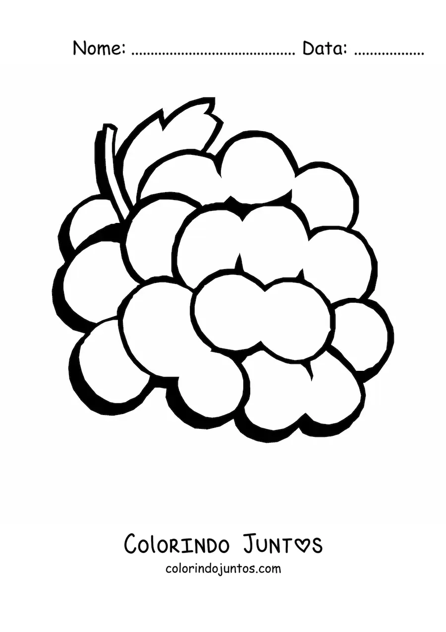 Desenho para colorir de um cacho de uvas