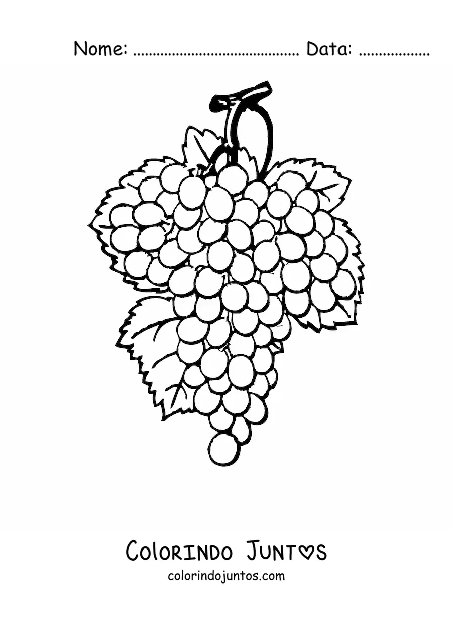 Desenho para colorir de um cacho de uvas com três folhas