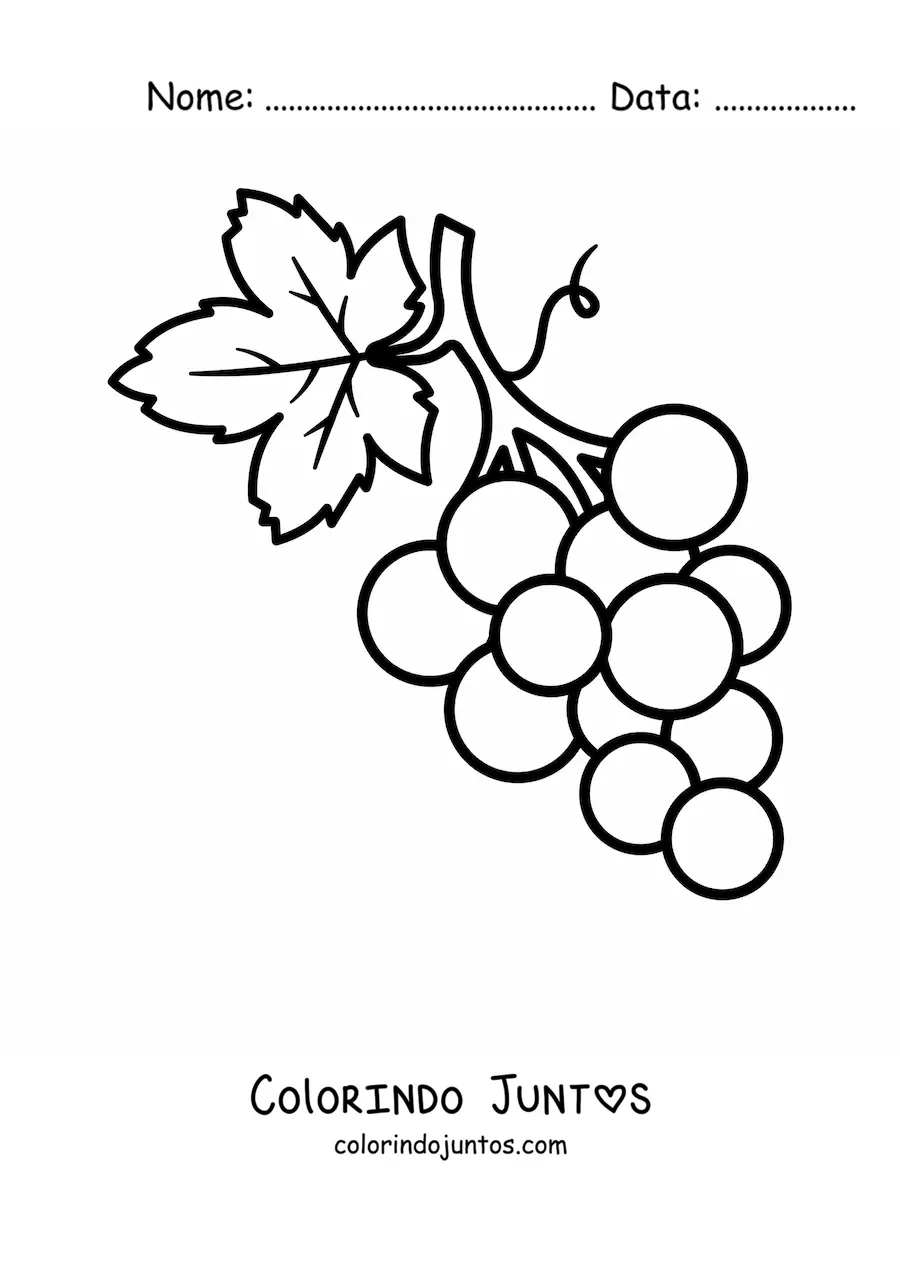 Desenho para colorir de um cacho de uvas pequeno com uma folha grande