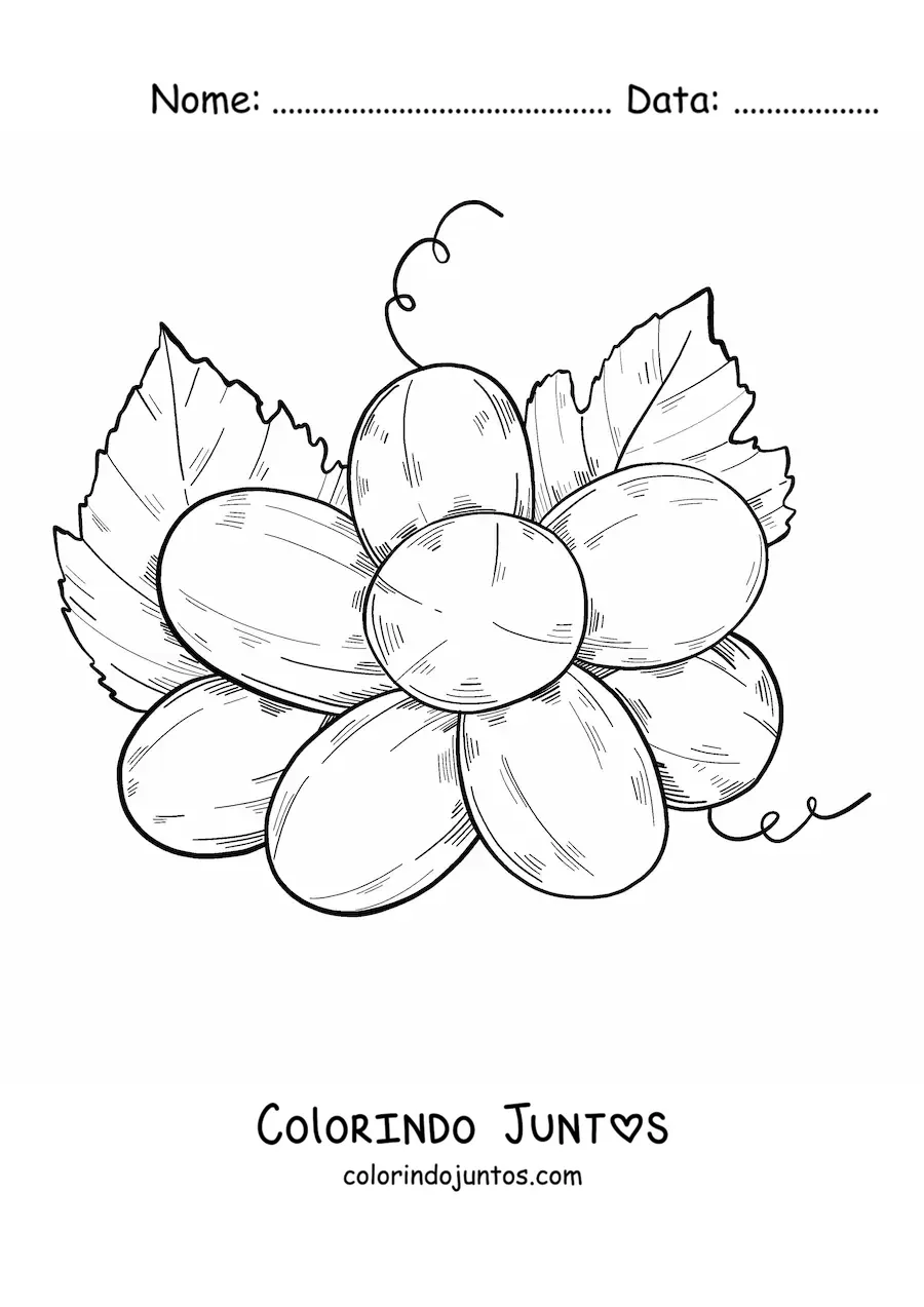 Desenho para colorir de um cacho de uvas visto de baixo