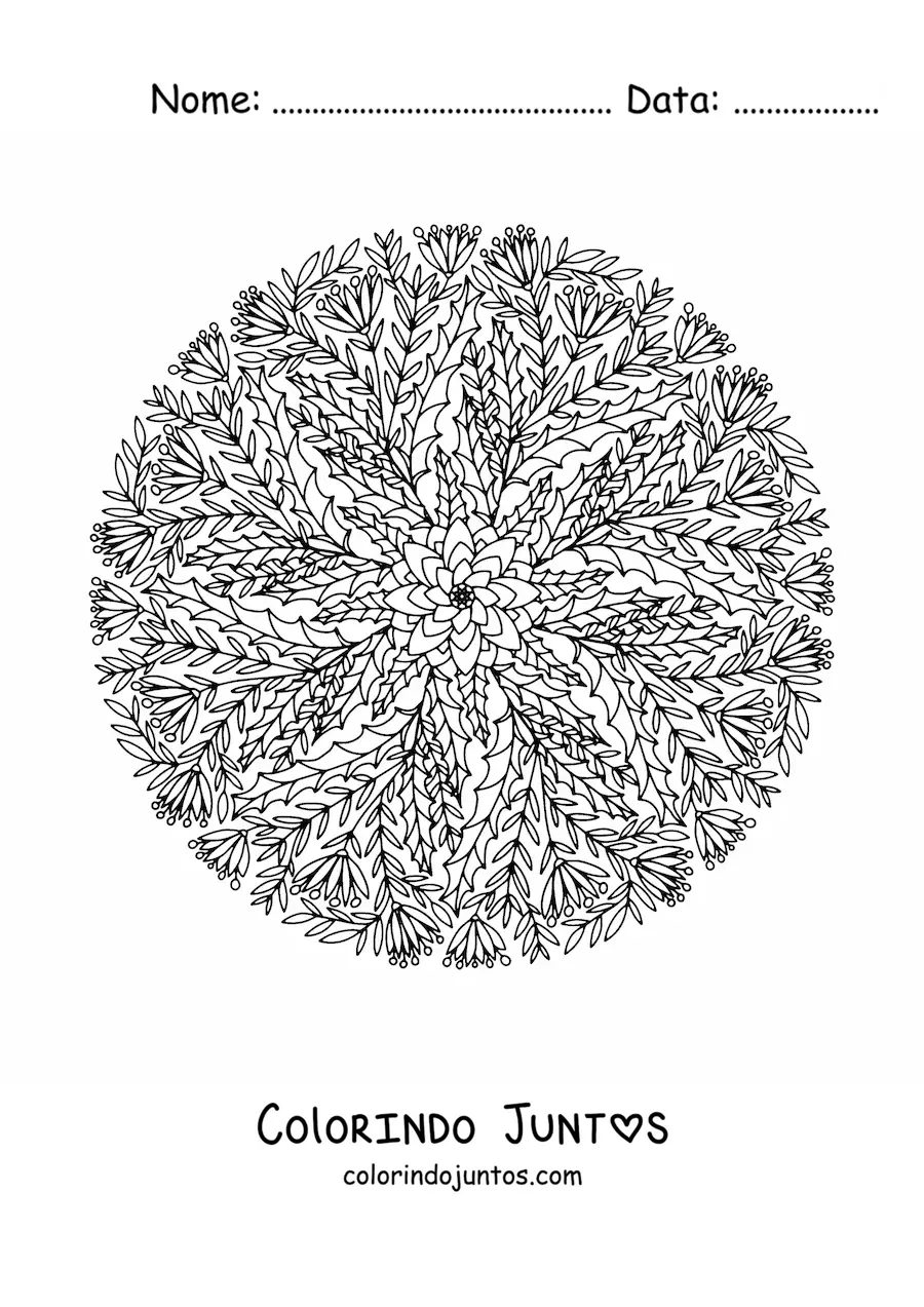 Desenho para colorir de mandala de Natal para adultos
