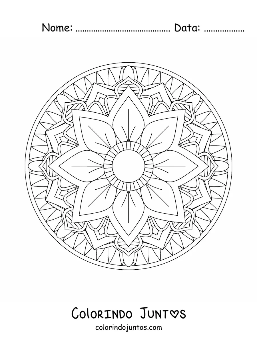 Desenho para colorir de mandala circular fácil com flor