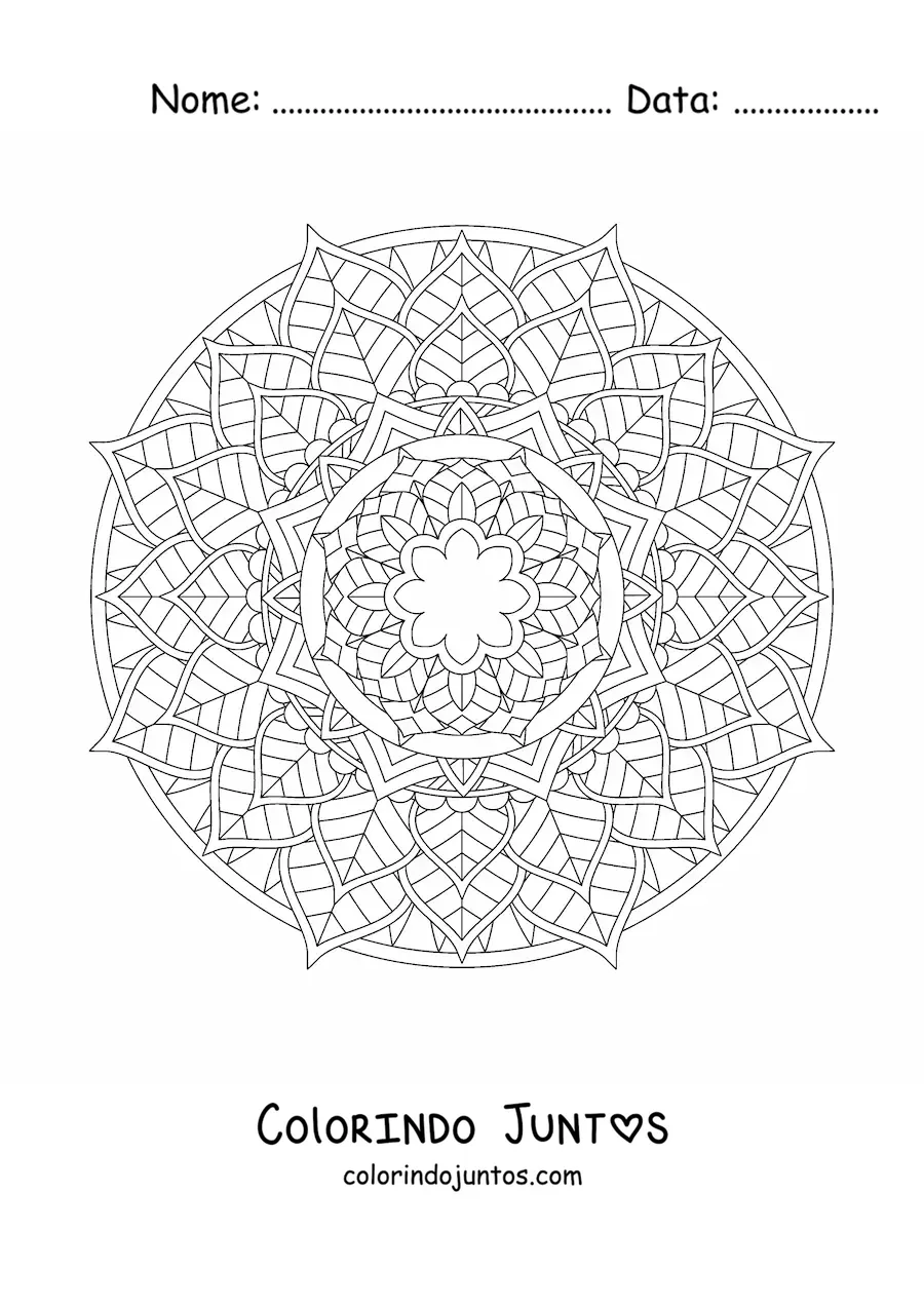 Desenho para colorir de mandala circular com flores