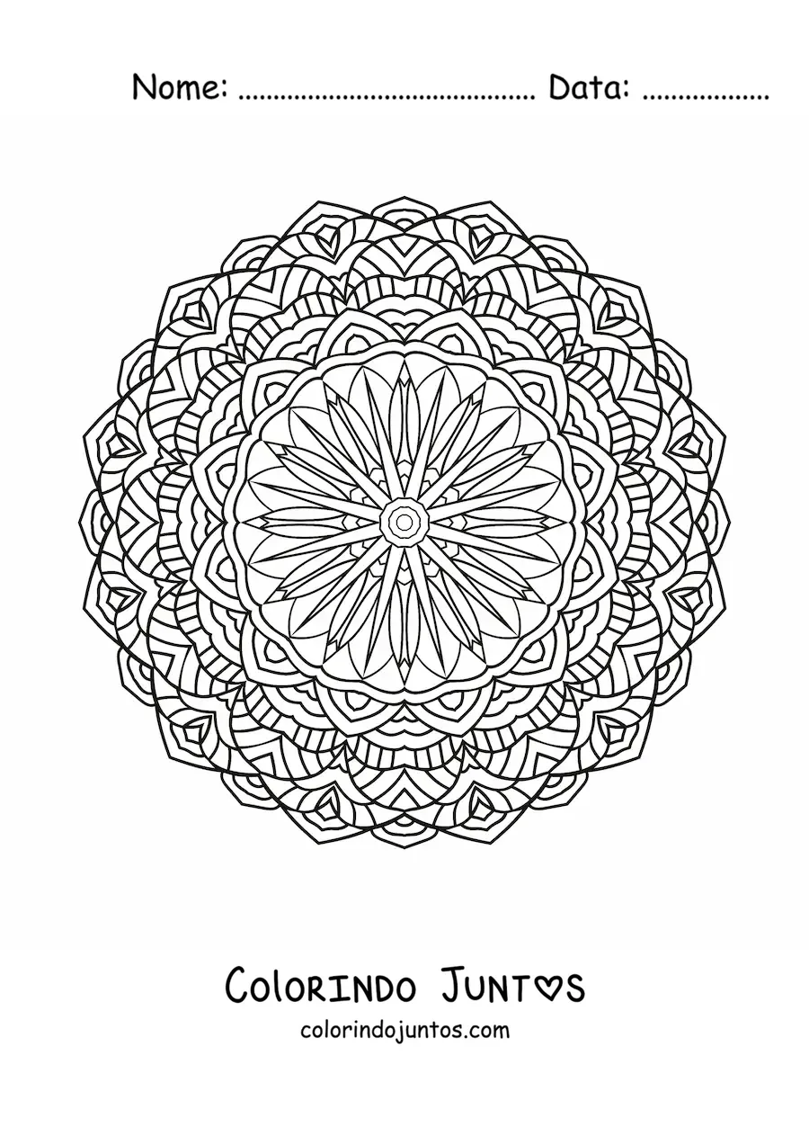 Desenho para colorir de mandala circular com flores