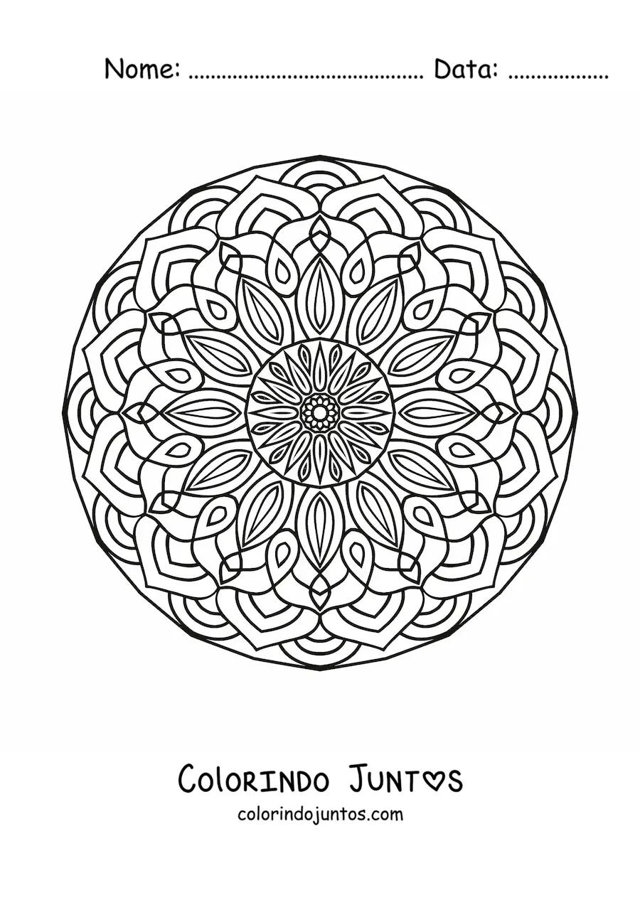 Desenho para colorir de mandala circular para adultos