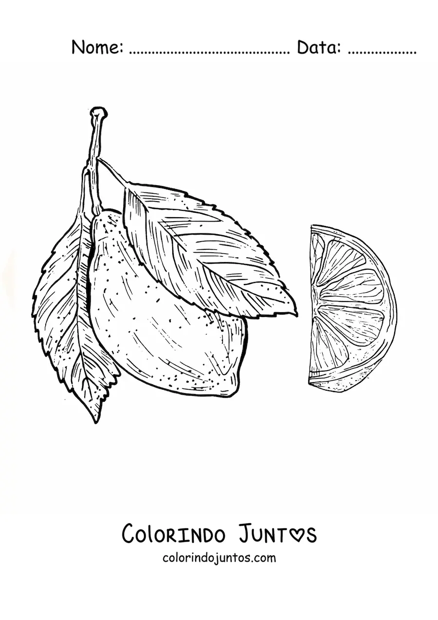Desenho para colorir de um limão inteiro e um pedaço de limão realista