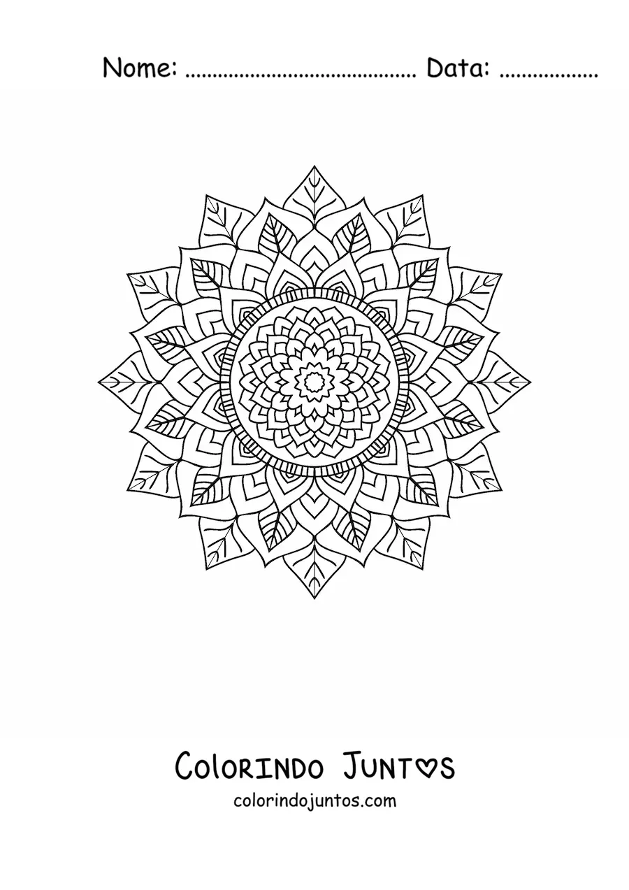 Desenho para colorir de mandala indiana estilo Zentangle